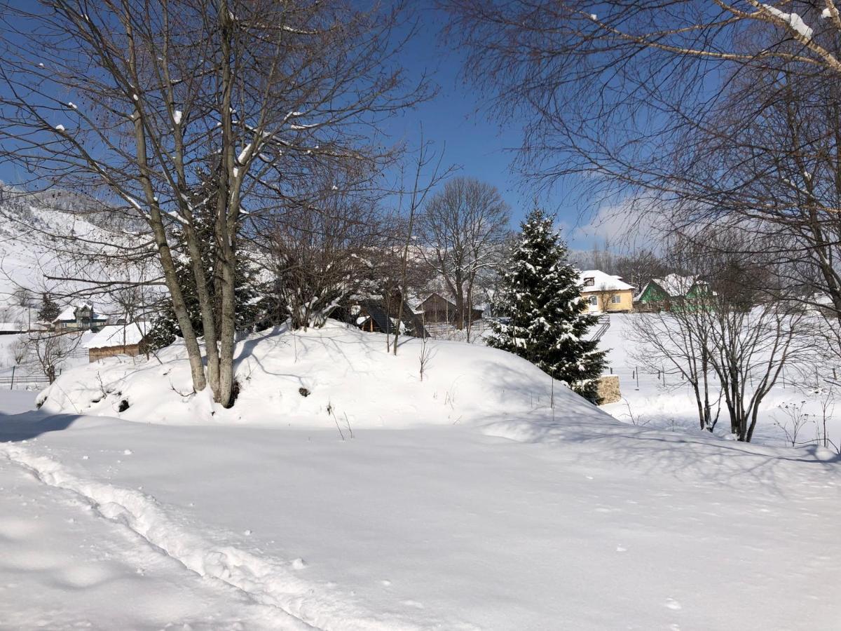 Domeniul Valea Lupilor- Pensiunea Valea Cu Struti Sirnea Exterior photo